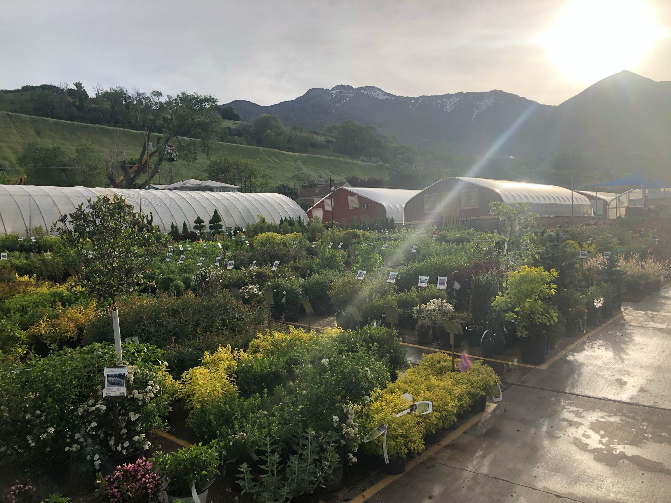 Valley Nursery