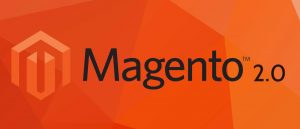 Magento 2 Developer