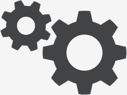 custom development